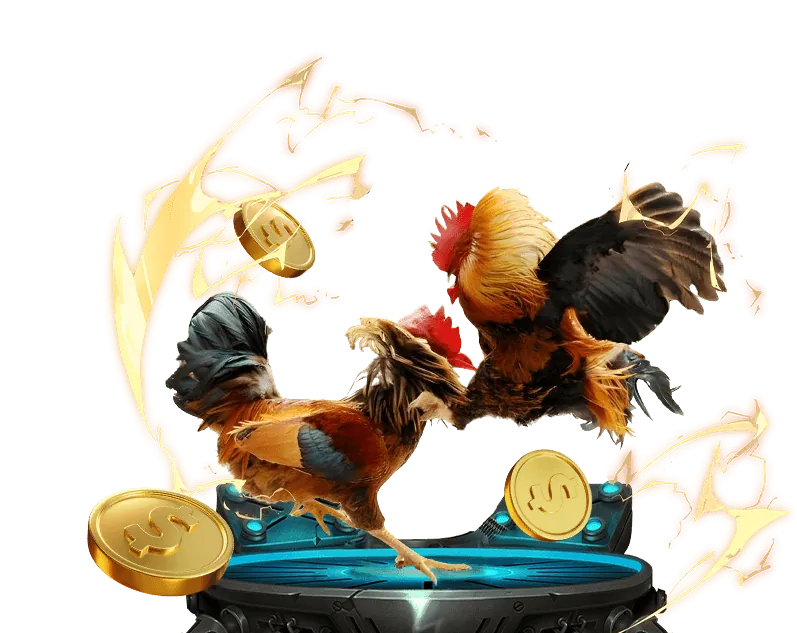 Cá cược bóng đá trên viva88net